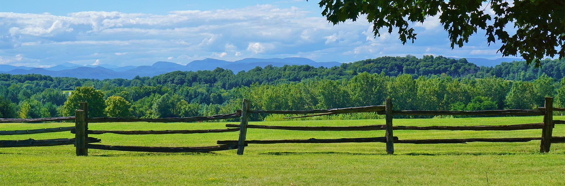 Land with Fence