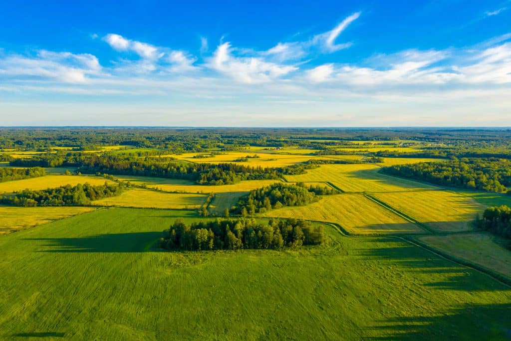 land-trees